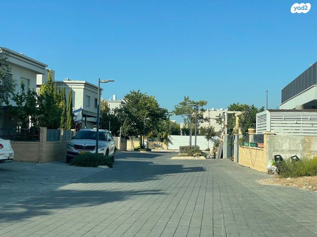 מגרשים, הגפן, עתלית