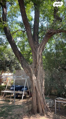 דו משפחתי, בחן