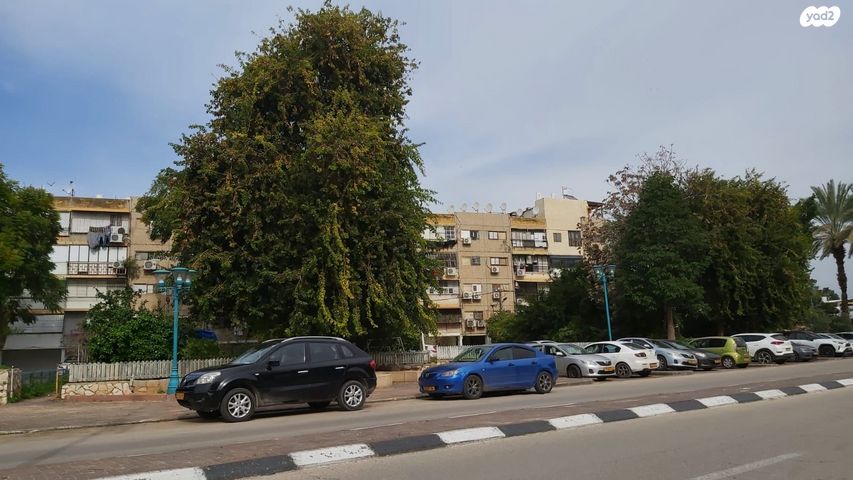 דירה, החשמונאים 9, לוד