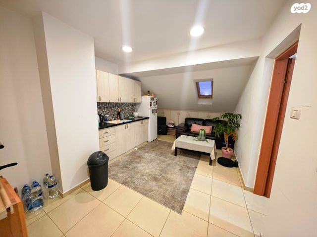 דופלקס, שער הגיא 30, אריאל