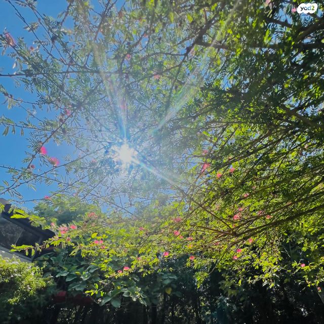 בית פרטי/ קוטג', דרך הפרחים, כוכב יאיר / צור יגאל