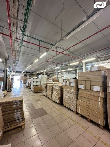 בן ציון גליס 50