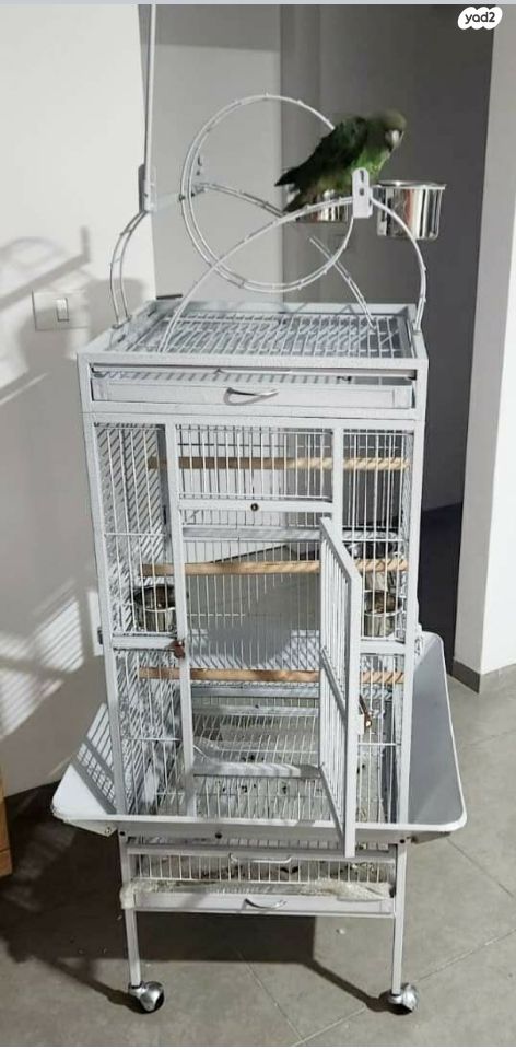 תמונת מודעה - חיות מחמד