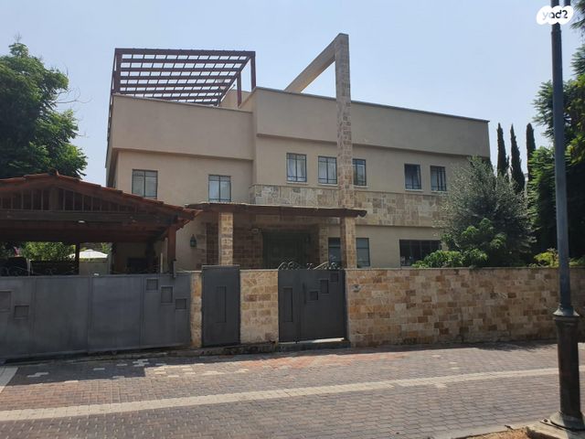 הציפורים 6