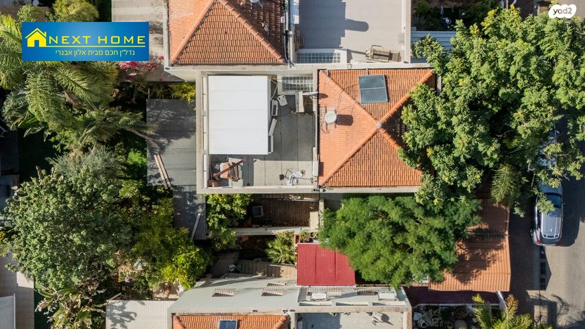 מעפילי אגוז 