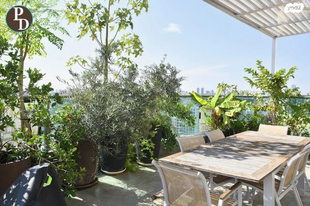 גג/ פנטהאוז, אלונים, קרית השרון, נתניה