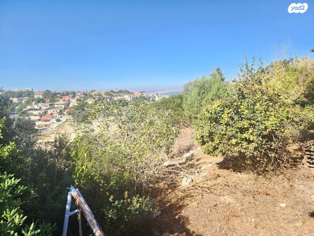 בית פרטי/ קוטג', כפר ורדים