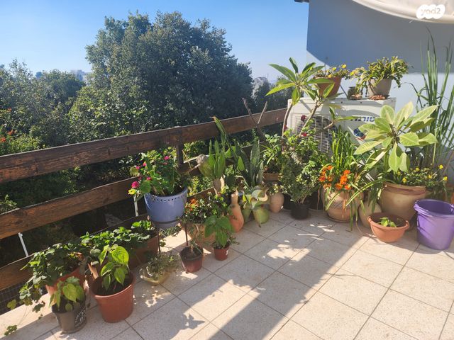 בית פרטי/ קוטג', כפר ורדים