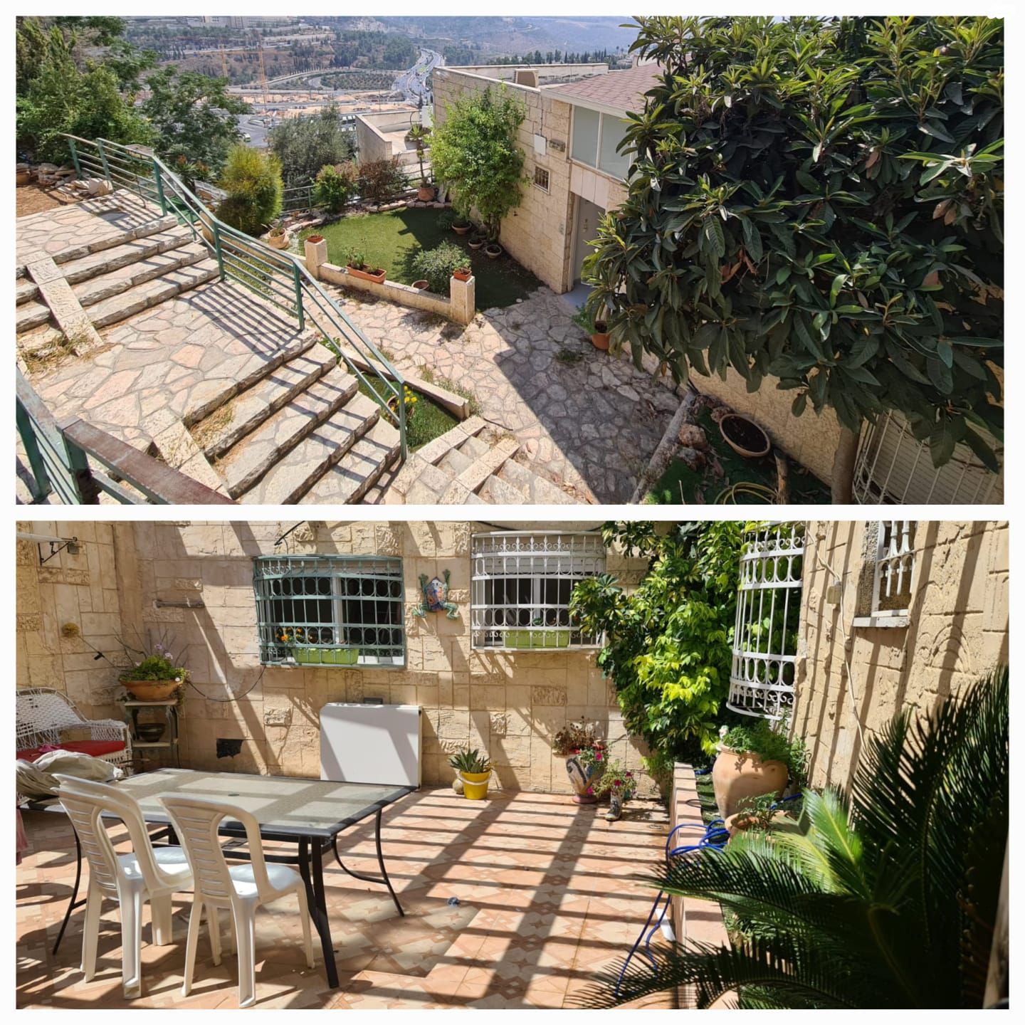 הנרי מורגנטאו 