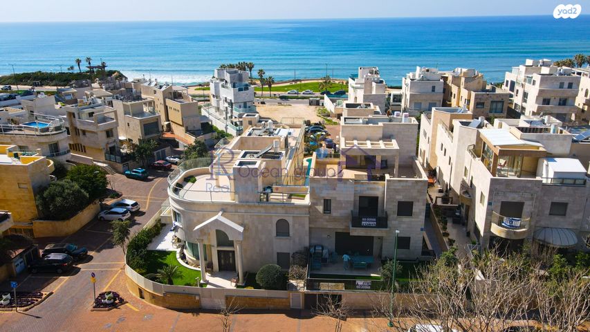 פייר קניג 54