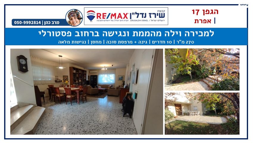 הגפן 17