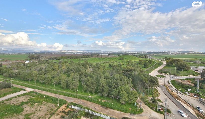 דירה, עוזי חיטמן, נאות אפק, אפקה, קרית ביאליק