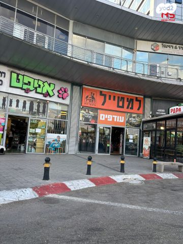 יהודי פקיעין 