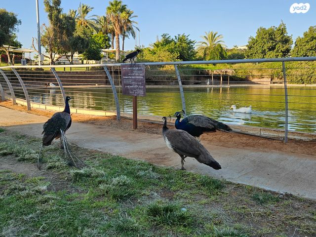 מגרשים, דרך מנחם בגין 1, רחובות