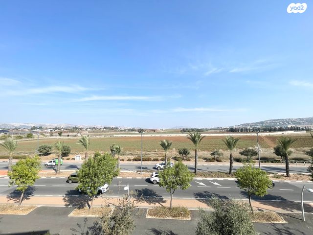 דירה, אירוס, עפולה