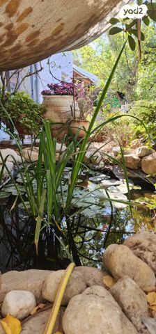 בית פרטי/ קוטג', צור הדסה