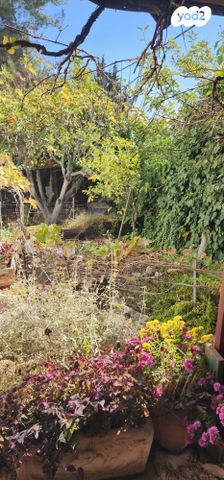 בית פרטי/ קוטג', צור הדסה