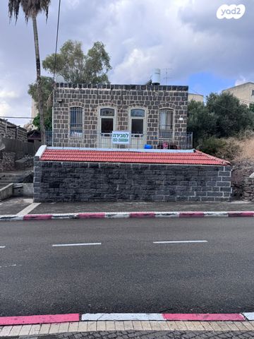הפלמ"ח 