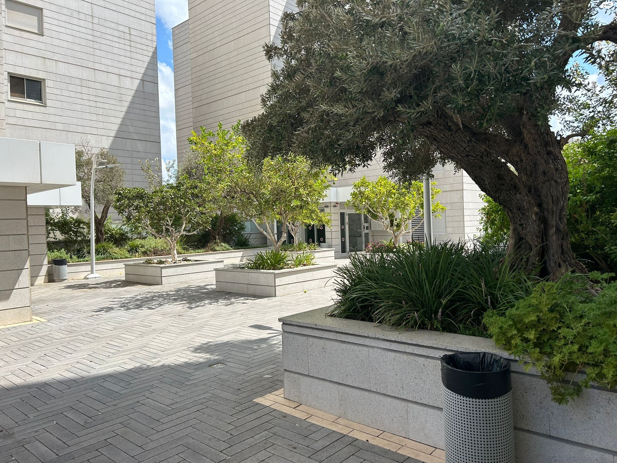 דירה