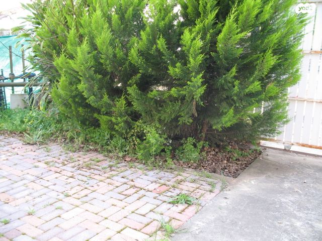 יחידת דיור, עזרא ונחמיה 4, עמישב, פתח תקווה