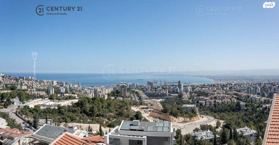 דירה, יקינטון, אחוזה, חיפה