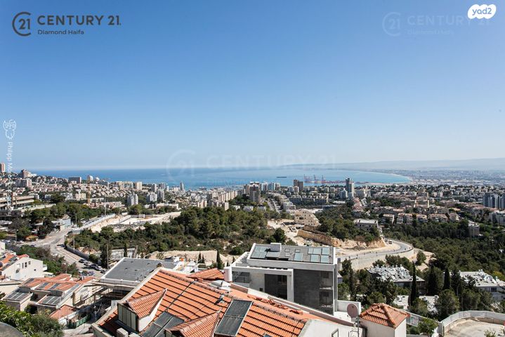 דירה, יקינטון, אחוזה, חיפה