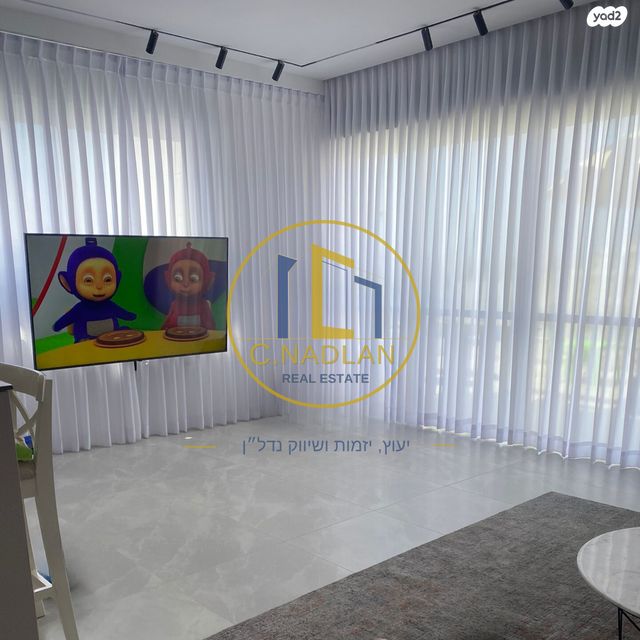 לסטר/רבוצקי