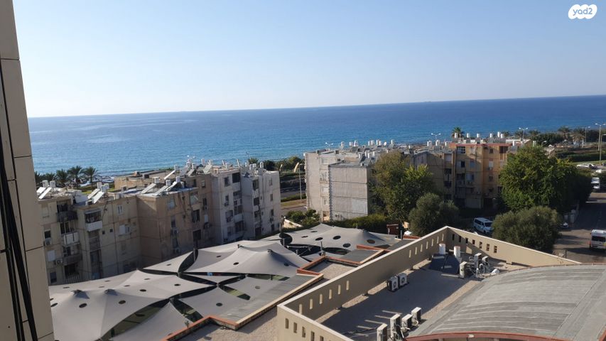 סעדיה פז 