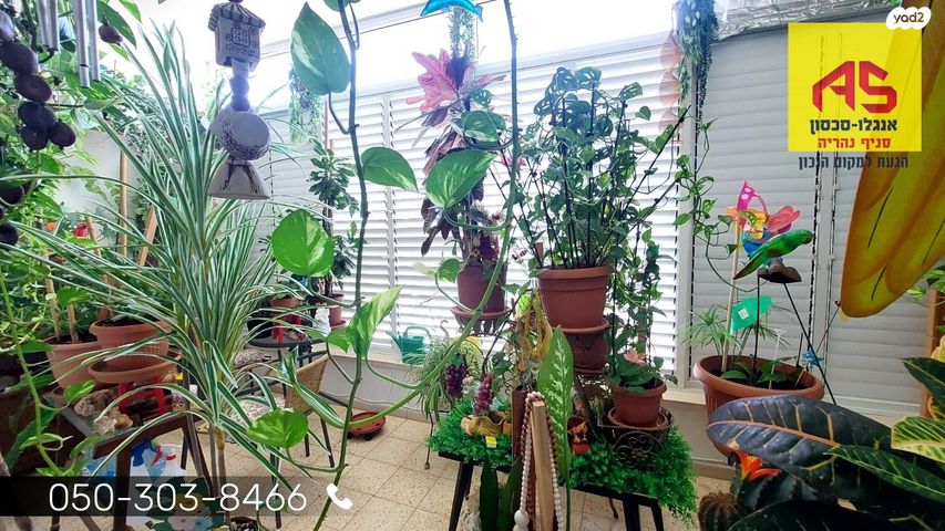 דירה, הרצל, עיר, מרכז העיר, נהריה