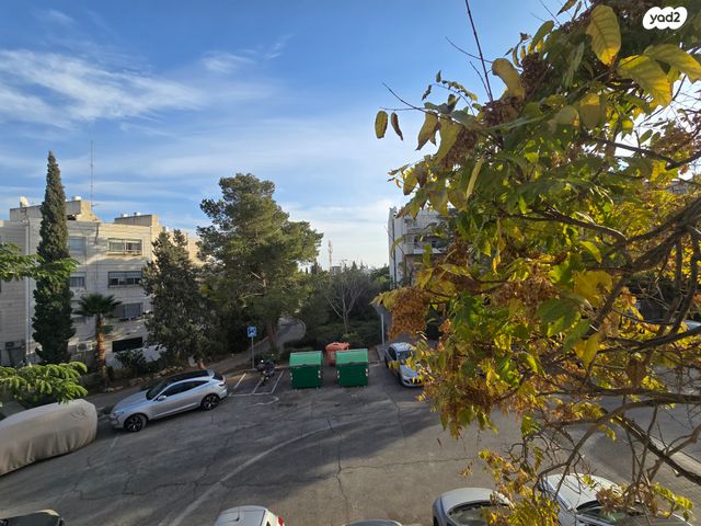 דירה, כלי שיר, מעלה אדומים