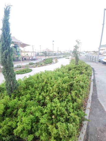 דירת גן, חריש