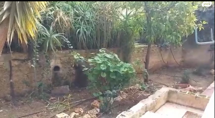 קאעב בן זוהיר 