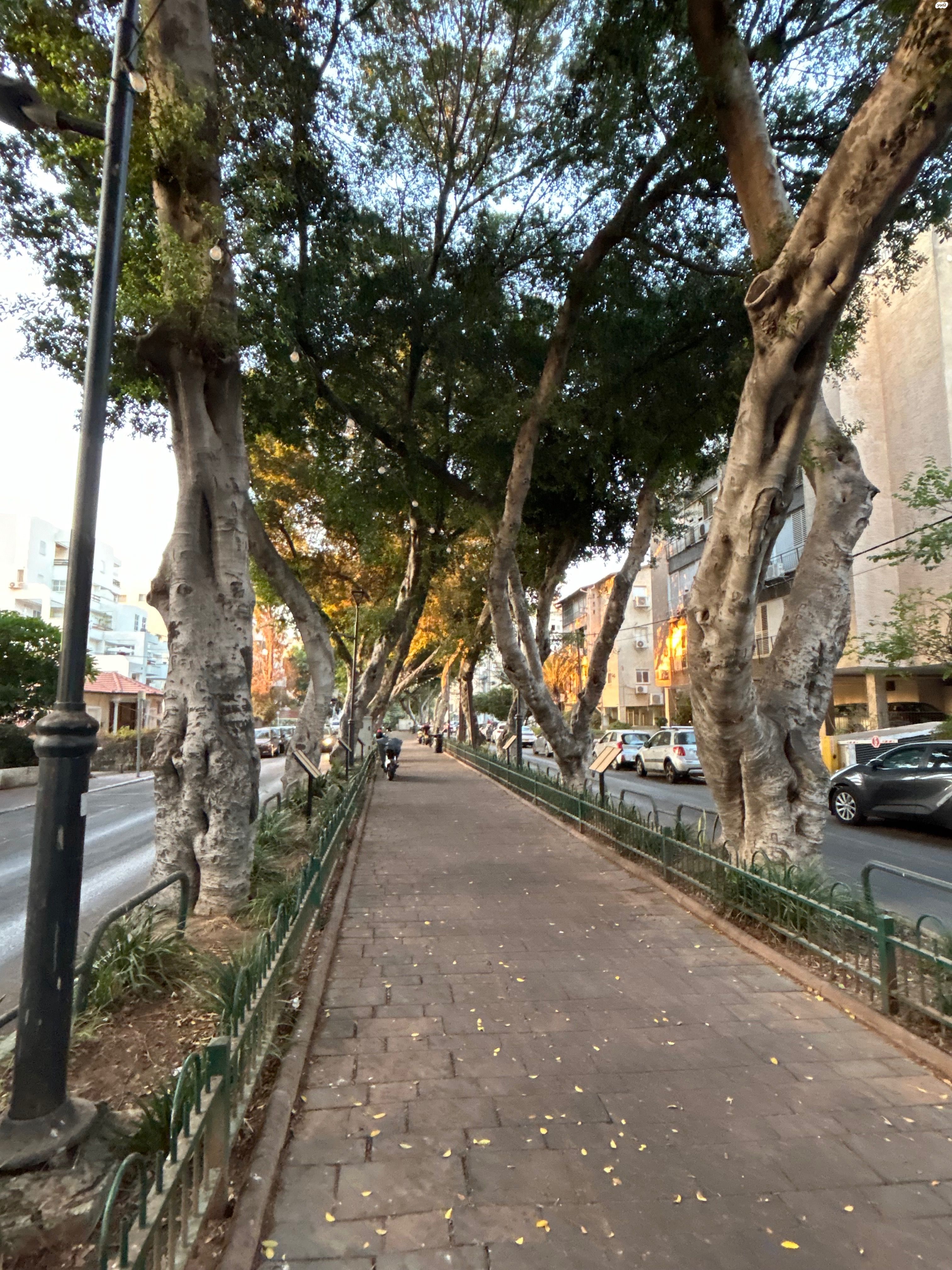 דירת גן
