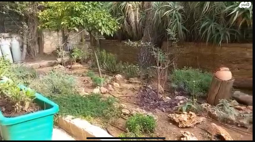 דירת גן, קאעב בן זוהיר, בית חנינא, ירושלים