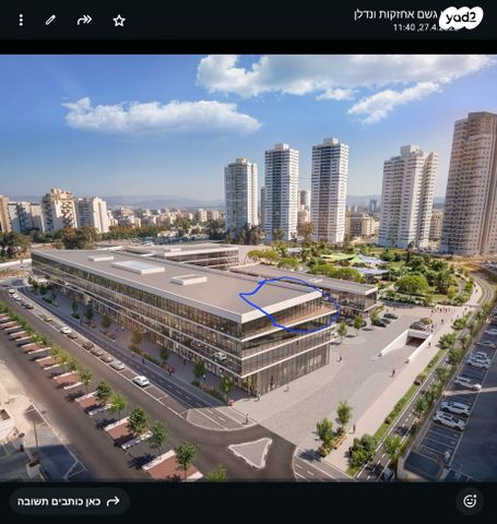 שושנה דמארי 