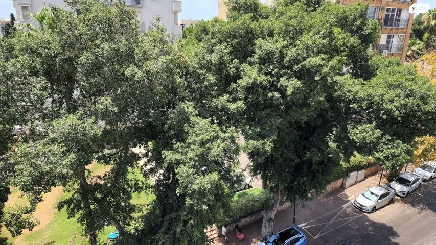 דופלקס, מרכז דרום, רעננה