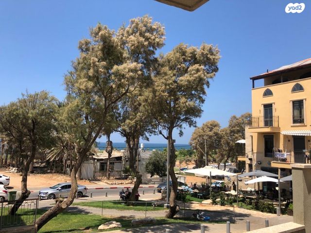 דירת גן, עג'מי, גבעת העליה, תל אביב יפו