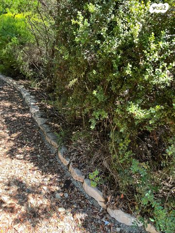 מגרשים, זכרון יעקב