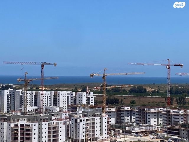 גג/ פנטהאוז, היוצרים, עיר היין, אשקלון