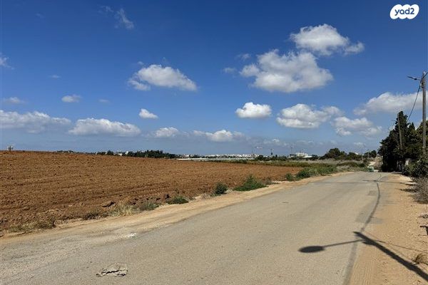 מגרשים
