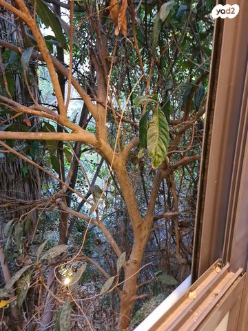 דירה, עמק רפאים, המושבה הגרמנית, ירושלים