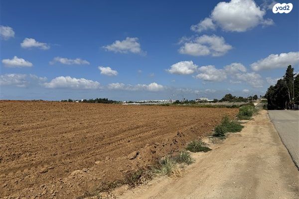 מגרשים, רמות השבים