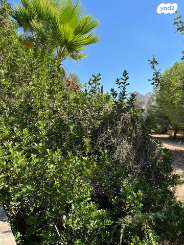 מגרשים, זכרון יעקב