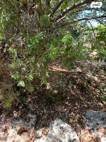 מגרשים, זכרון יעקב