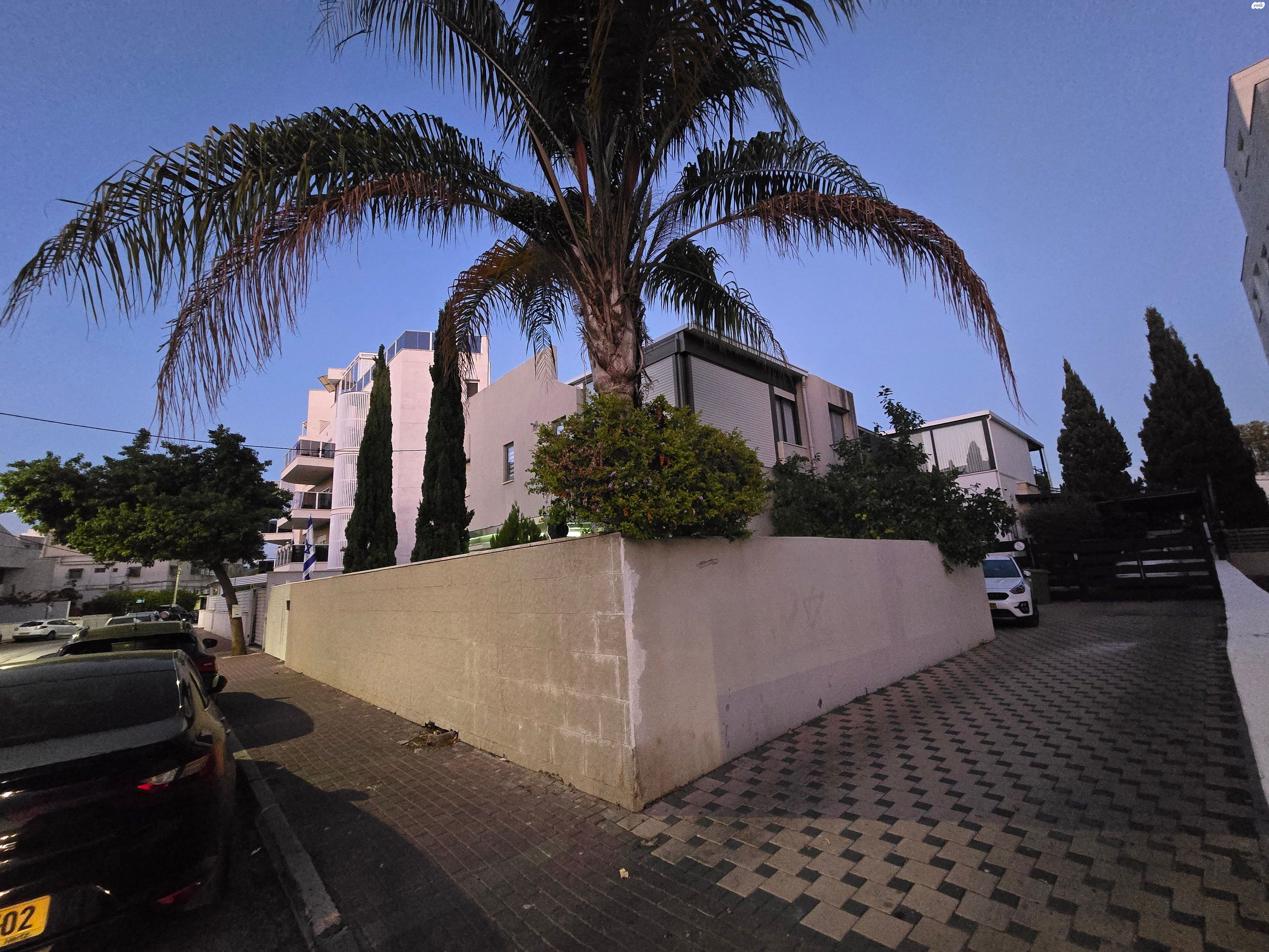 קרן קיימת לישראל 