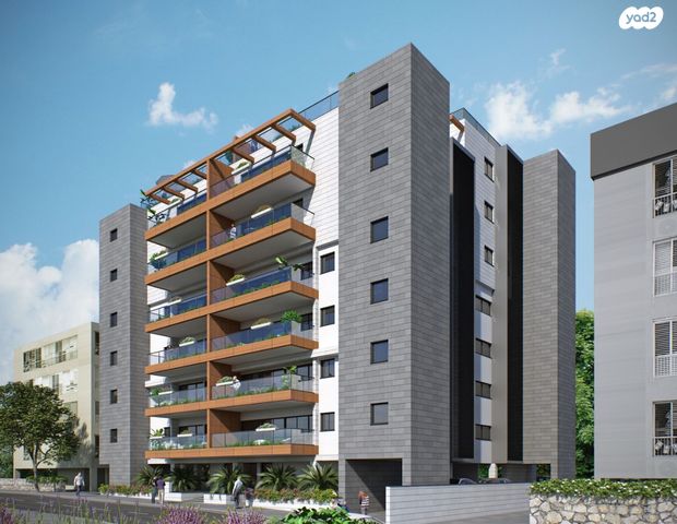 צבי הירשפלד 