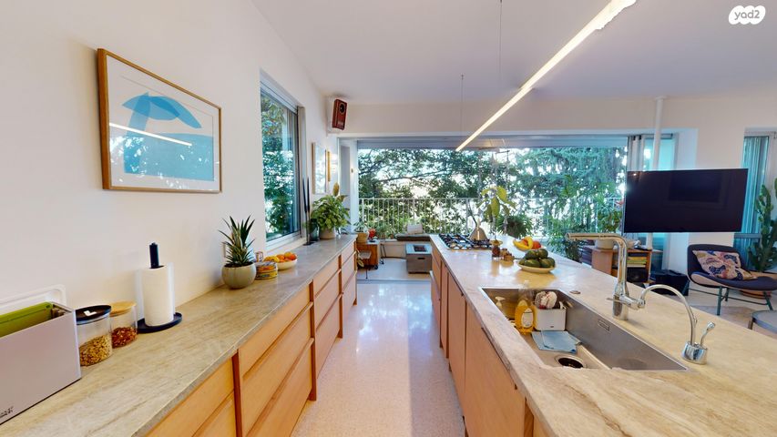 דירה, חיסין, הצפון הישן - דרום, תל אביב יפו