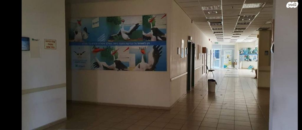 משרדים, ח'ורי 2, הדר מרכז, חיפה