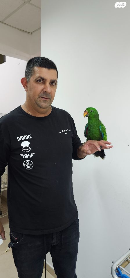 תמונת מודעה - חיות מחמד