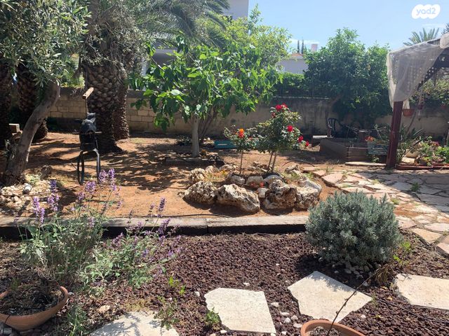 דו משפחתי, מ"ג, שאר העיר, קדימה צורן